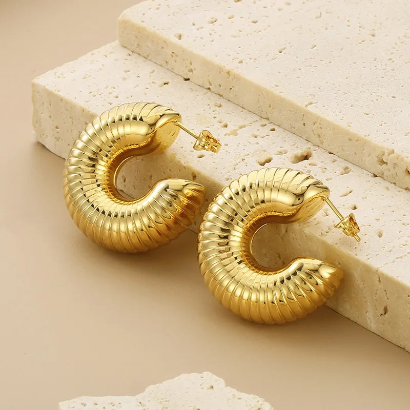 Brinco Espiral - Lois Joias