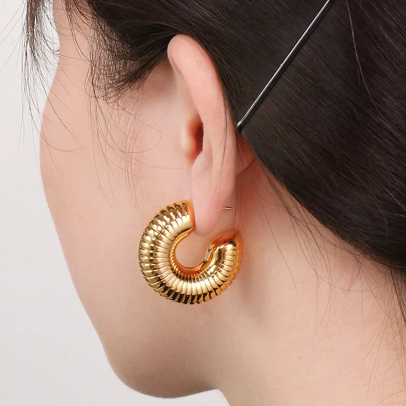 Brinco Espiral - Lois Joias